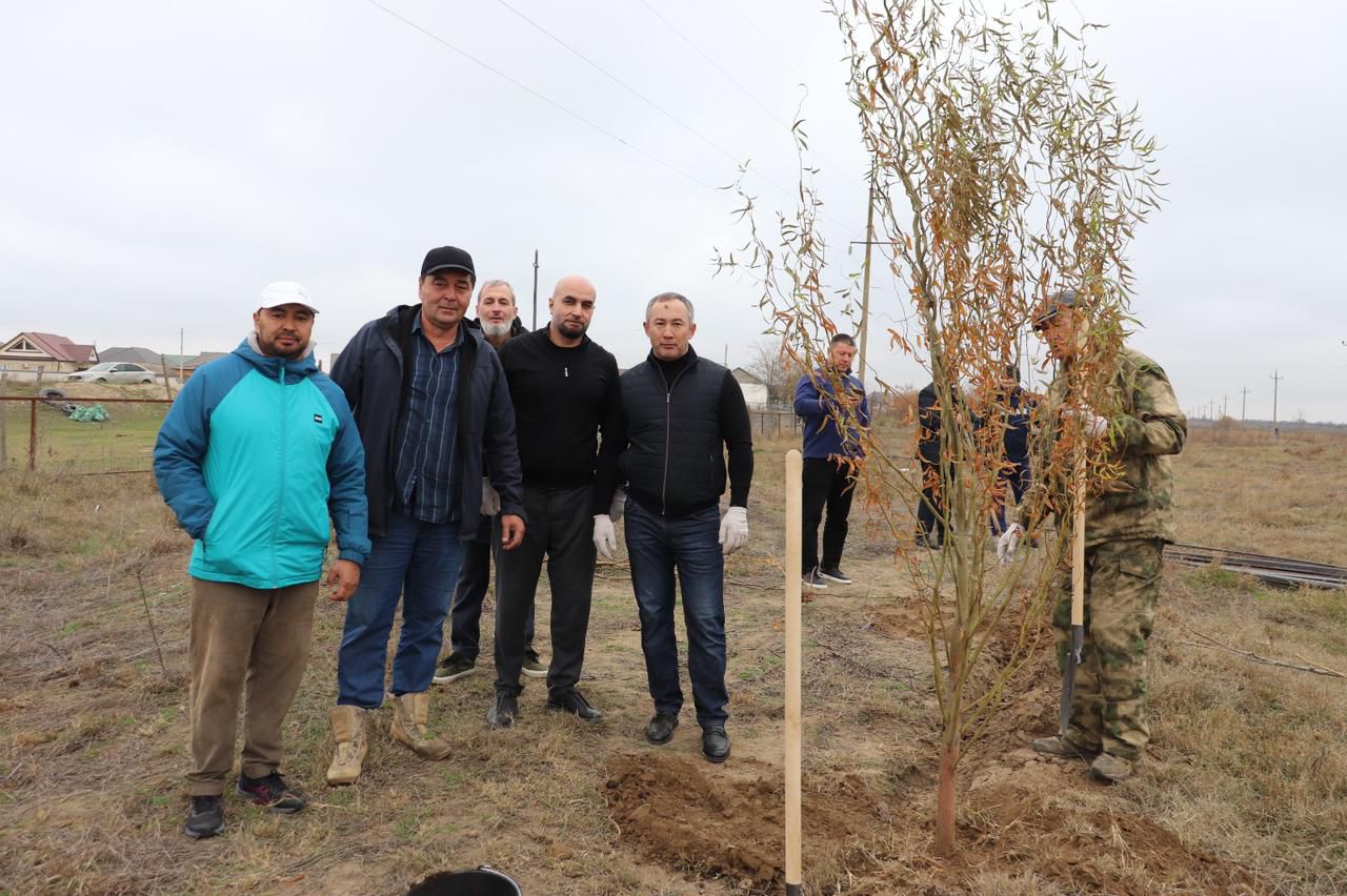 Сотрудники Минприроды РД провели масштабный субботник по озеленению территории в Ногайском районе